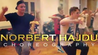 Chris Brown x Tyga - D.G.I.F.U. ft Pusha T | Choreography by Norbert Hajdu