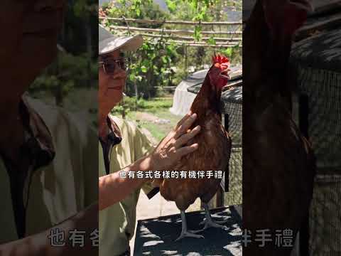 慢慢玩花蓮，最療癒！吉安鄉慢活香草輕旅行