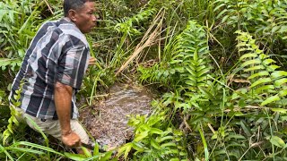 Download lagu Rawa Tua Terbengkalai Ternyata Menjadi Tempat Bersemayam nya Raja Air Tawar mp3 Download lagu Rawa Tua Terbengkalai Ternyata Menjadi Tempat Bersemayam nya Raja Air Tawar mp3