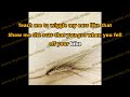 The Weakerthans - Leash - Karaoke version