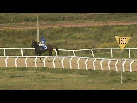 SINT FLORIDA 220317 c04 1° EL PAMPERO