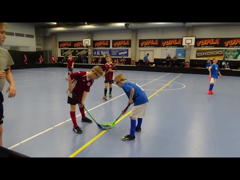 Salibandyä Martin sudet - LoSB Red, Arena Center Myllypuro Toinen peli 4.2.2017