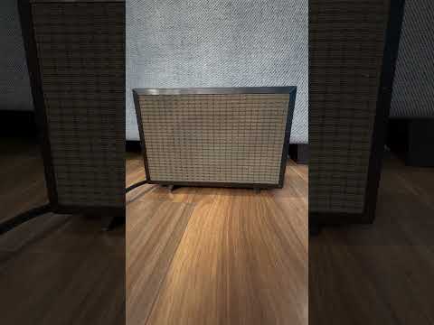 Vintage 1960s Argonne AR-295 Guitar Speaker Cabinet w/ Original PD-64 Oval Driver 4Ω Made in Japan image 3