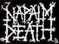 napalm death - impressions
