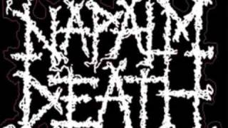 napalm death - impressions