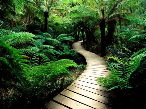 E-Smoove & Thick Dick - Welcome to the jungle