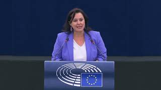 European Parliament 2024 Petitions Report Revealed | Europe Politics |