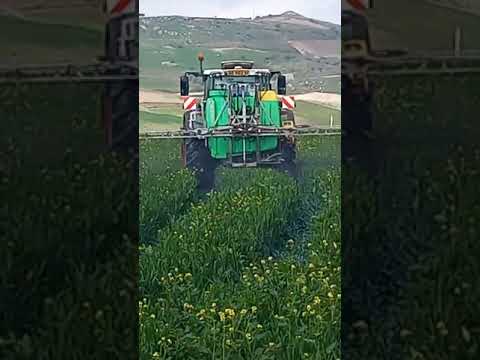 Video 12