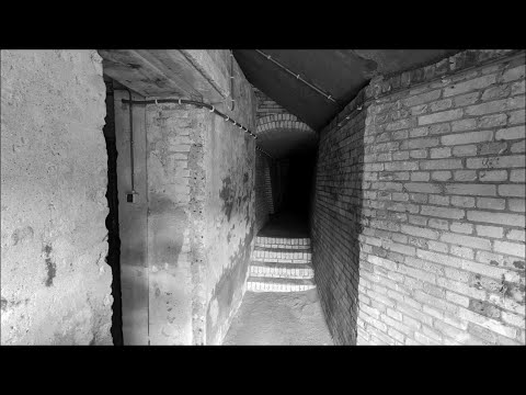Feldermausbunker (Vleermuisbunker) Wassenaar