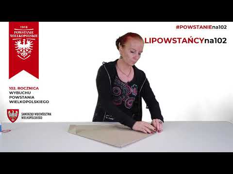 #MALIPOWSTAŃCYna102 - Kreatywna lekcja historii