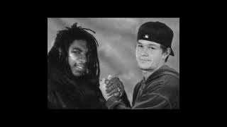 Prince Ital Joe Feat. Marky Mark - United [The World's Address] 1994