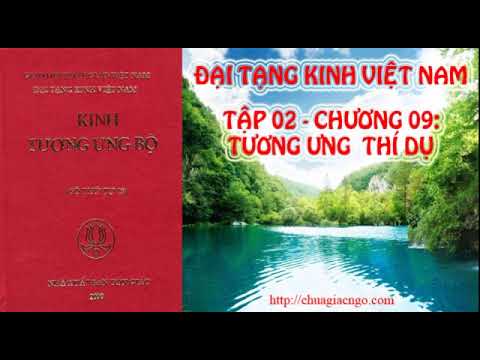 Kinh Tương Ưng Bộ - Tập 2: Chương 9: Tương Ưng Thí Dụ