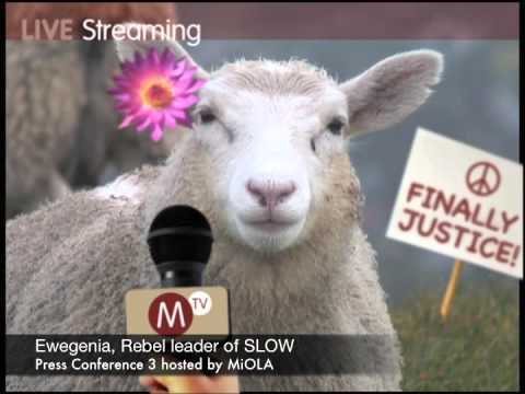 MiOLA presents: SLOW Press Conference 3