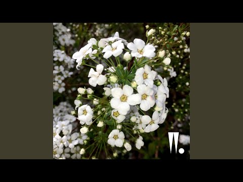 SS (Feat. 사이먼 도미닉 Simon Dominic & 후디 Hoody) (Prod. By KHYO)