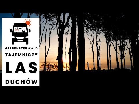 68. Niemieckie wybrzeże Nienhagen🌅 Las duchów, wieczorem nabiera innego wymiaru Gespensterwald😱