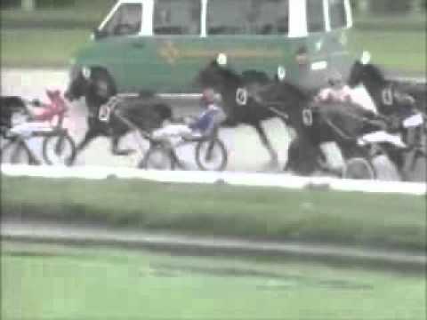 Merrie Derby "B" Holland 2011 -Bibi Barosso