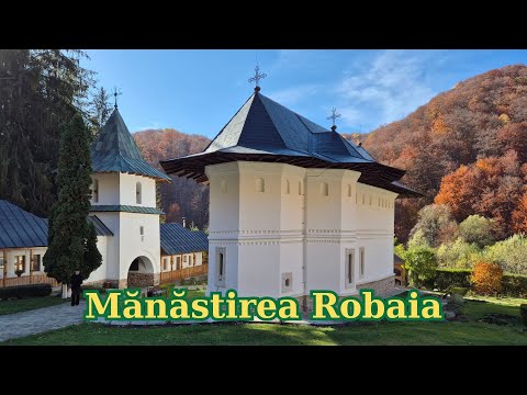 Sens in Viata and Pace si Bucurie