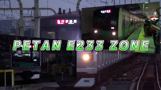 【ゆくっさく単品だったもの】PETAN E233 ZONE