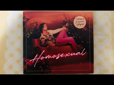 DARREN HAYES - HOMOSEXUAL (UNBOXING)