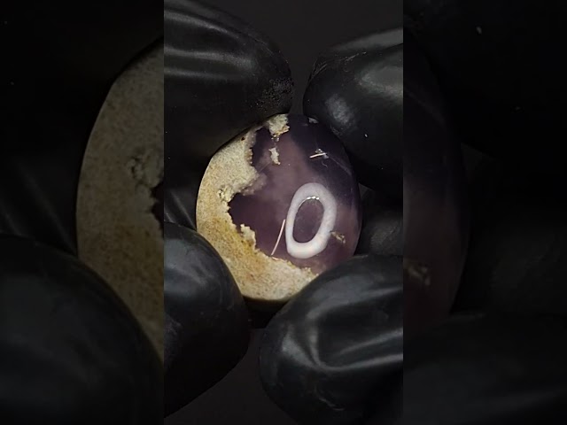 حجر عقيق خرائطي بنفسج اليمن طبيعي