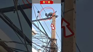 Oh! God I cried all the day, cat get shocked by electric😭🥺🤯#youtubeshorts#reaction #viral#kitten