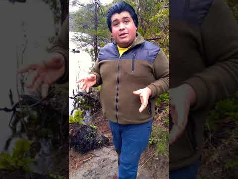 Bienvenido a la Isla de Chiloé!, Una Isla que te Encantará!.