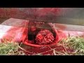 Beheading, torture, blood, gore & horror channel, "Shank the Ripper" films
