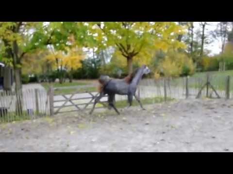 Just of Glory 'V' (WH Justice x Bess-Gloria by Al Lahab )