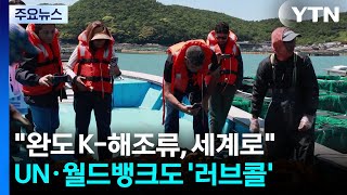 국제기구가 완도를 찾은 까닭은?...해양산업 국제협력 확대 / YTN