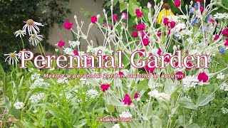 《Garden remodeling》 Making a natural garden using perennial plants starting in autumn 《gardening》
