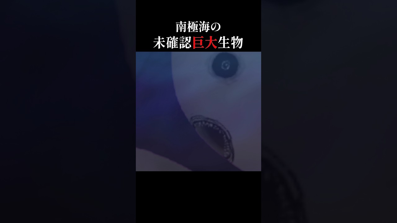 新作【ニンゲン】近日配信!!👻《#わくわくおばけランド》