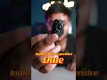 India S Most Expensive Date Ajwa Khajoor