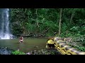 Snake Movie SCARY Scene Must Watch Mp4