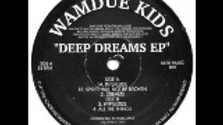 WAMDUE KIDS - Spirits will not be broken