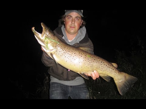 Fliegenfischen auf Meerforelle am Fluss / Fly Fishing for Sea Trout on River