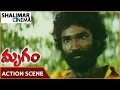 Mrugam Movie || Aadhi Pinisetty Action Scene || Aadhi Pinisetty, Padmapriya || Shalimarcinema
