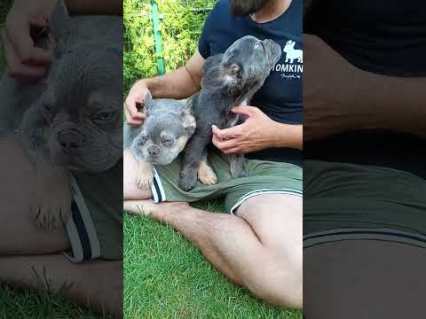 Video 2