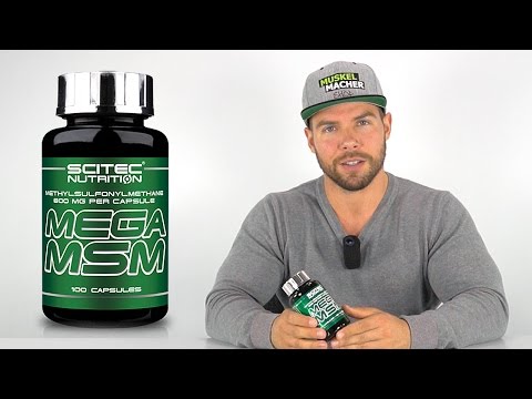 Scitec Nutrition Mega MSM im Review