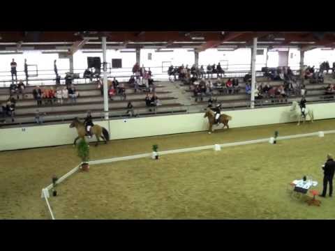 OSI Handorf 2011 - Samstag - www.isibless.de