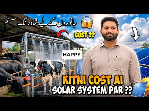 Solar total Cost | showering System | Soby Agro | Dhillon Dairy Farm 