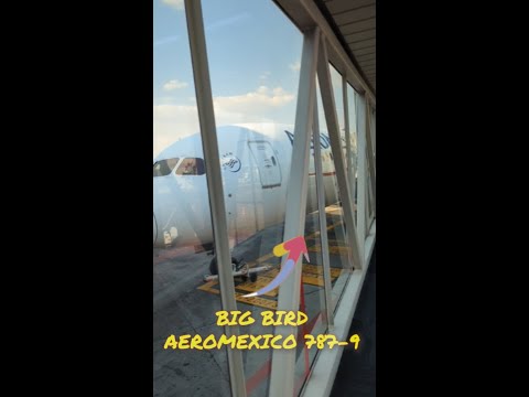 🍾 Aeromexico Business Class: Luxury & Champagne 🥂  (Short but Sweet!)