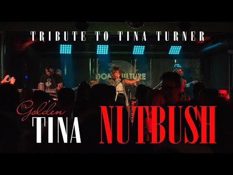 Golden Tina - Nutbush (Tribute To Tina Turner in Novi Sad)