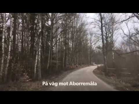 ABBORREMÅLA - mellan Backaryd och Hallabro - 200401 - IPhone SE - RONNEBY (Abborramåla)