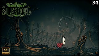NEW DESTINATIONS | Hollow Knight: Silksong Gameplay Argentina | Chapter 34