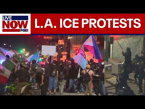 LA 'ICE Out' protests: Unlawful assembly declared amid clashes
