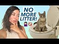 I tried to toilet train my cat and this happened (CitiKitty Detailed Review)