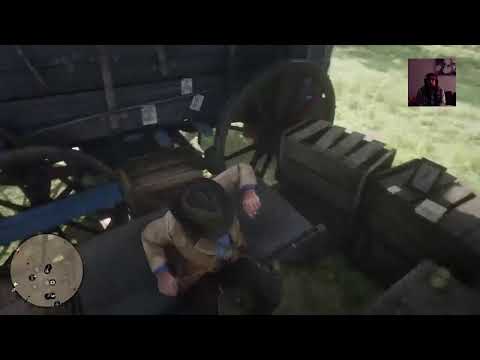 Käyttäjän Niilo22 PS4-live-lähetys RED DEAD REDEMPTION 2 osa6