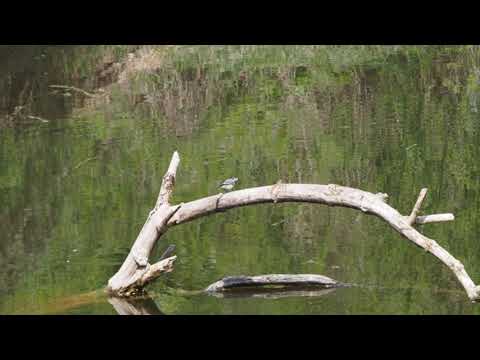 2021 0428 Cudrefin   HD 1080p