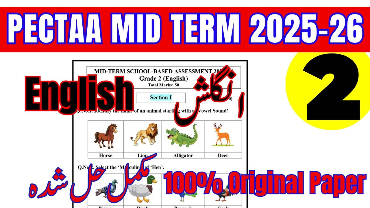 🚀 Grade 2 English | 100% Original Mid Term Paper 2025-26 | Must Watch Before Exam!