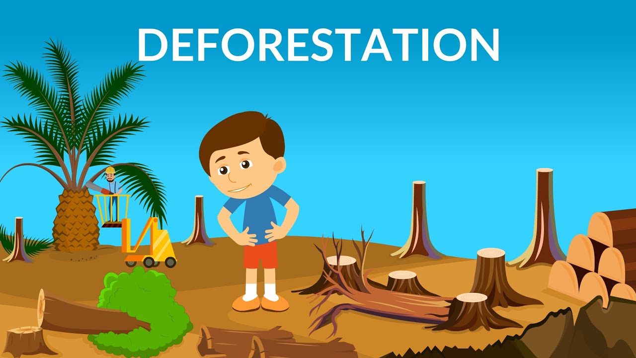 What are the effects of illegal logging?